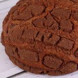 Concha de chocolate